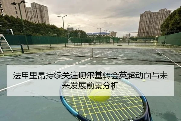 法甲里昂持续关注切尔基转会英超动向与未来发展前景分析